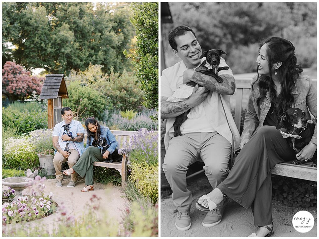 A couple with their dogs at engagement session in Palo Alto