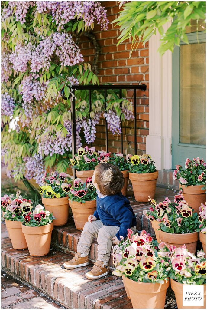 toddler with flowers at Filoli