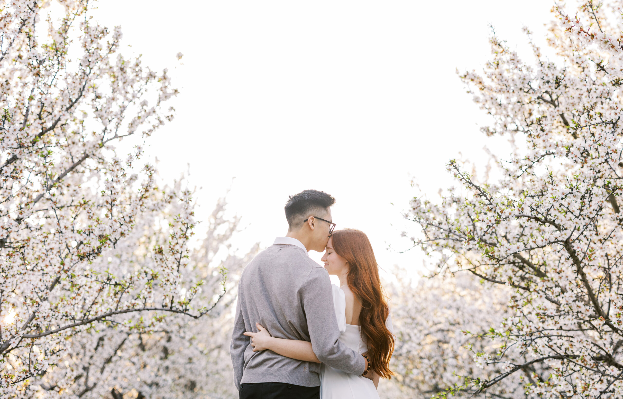 San Francisco Bay Area almond blossom photographer