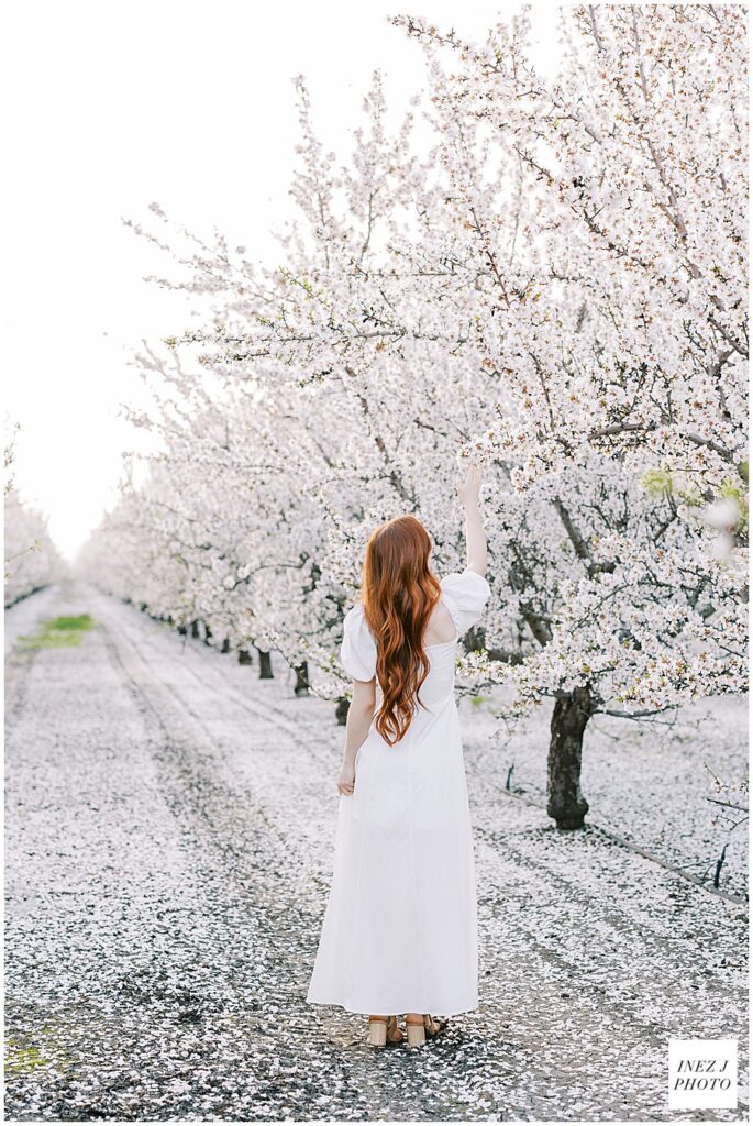 Bay Area engagement photographer