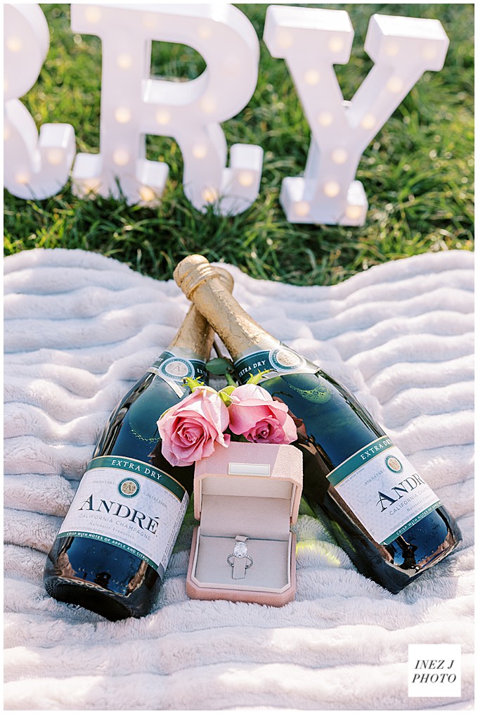 San francisco proposal photographer