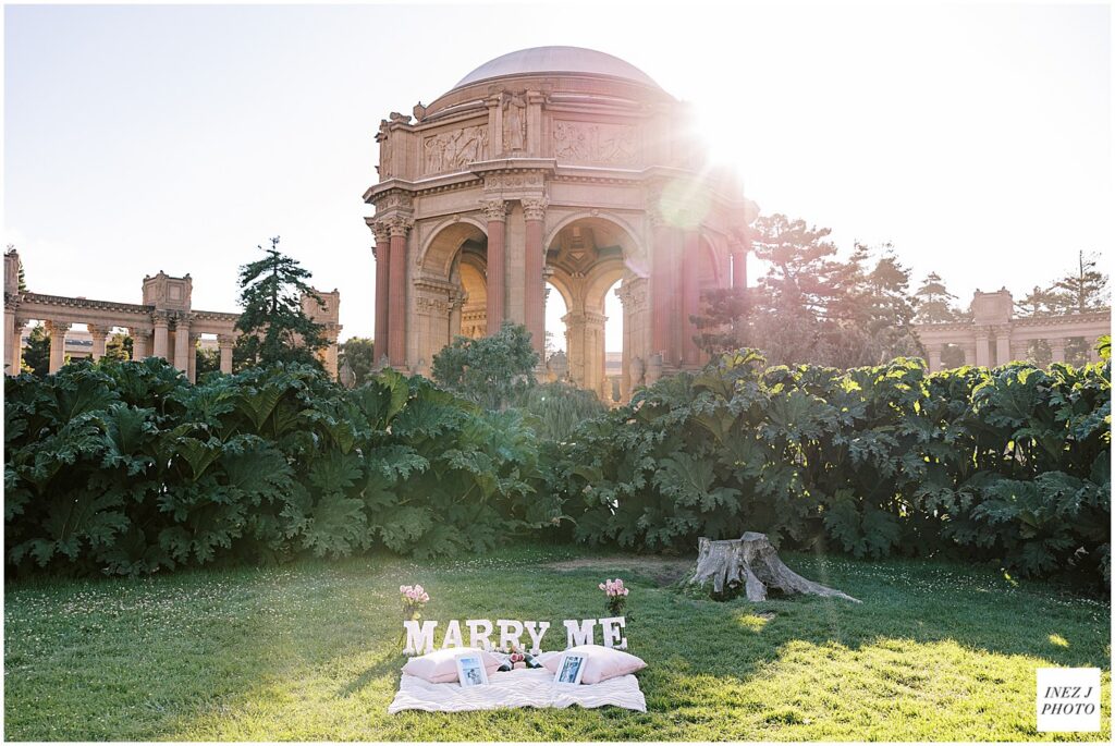 San francisco proposal photographer palace of fine arts